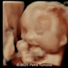 Case of the Week #626