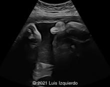 Case of the Week #549 image